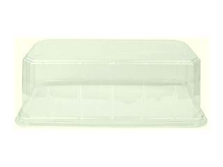 log-dome-deep-clear log-dome-deep-clear