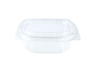 the-250ml-rectangular-clamshell-clear the-250ml-rectangular-clamshell-clear