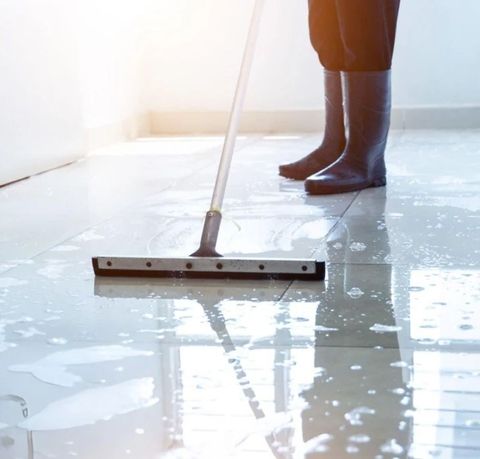 Floor-squeegee-cleaning-floor Floor-squeegee-cleaning-floor