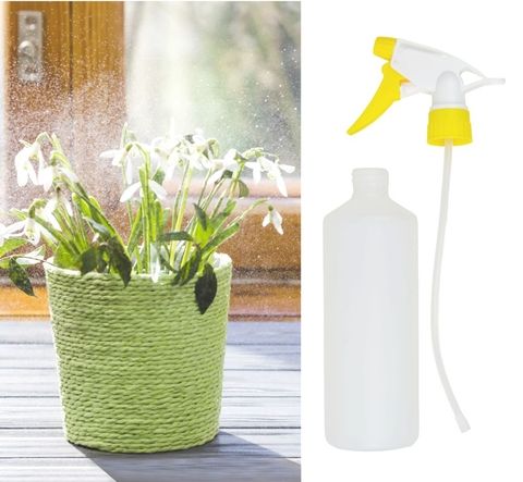 Trigger-spray-bottle-500ml-and-plant Trigger-spray-bottle-500ml-and-plant