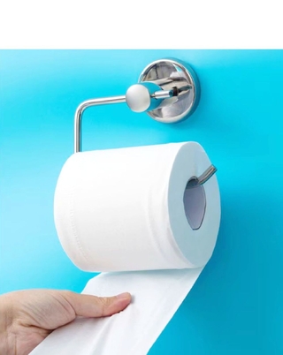 Toilet-paper-roll-on-holder-and-blue-wall Toilet-paper-roll-on-holder-and-blue-wall